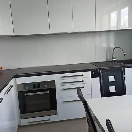 Appartement Entier A Centre Ville- Whole Apartement In City Center- Fetes Interdites Daire Mulhouse